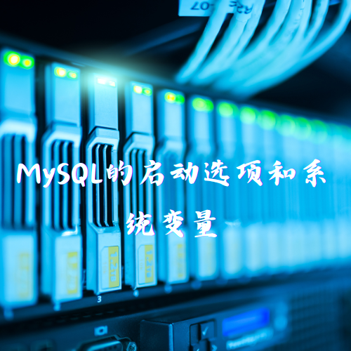 MySQL的启动选项和系统变量